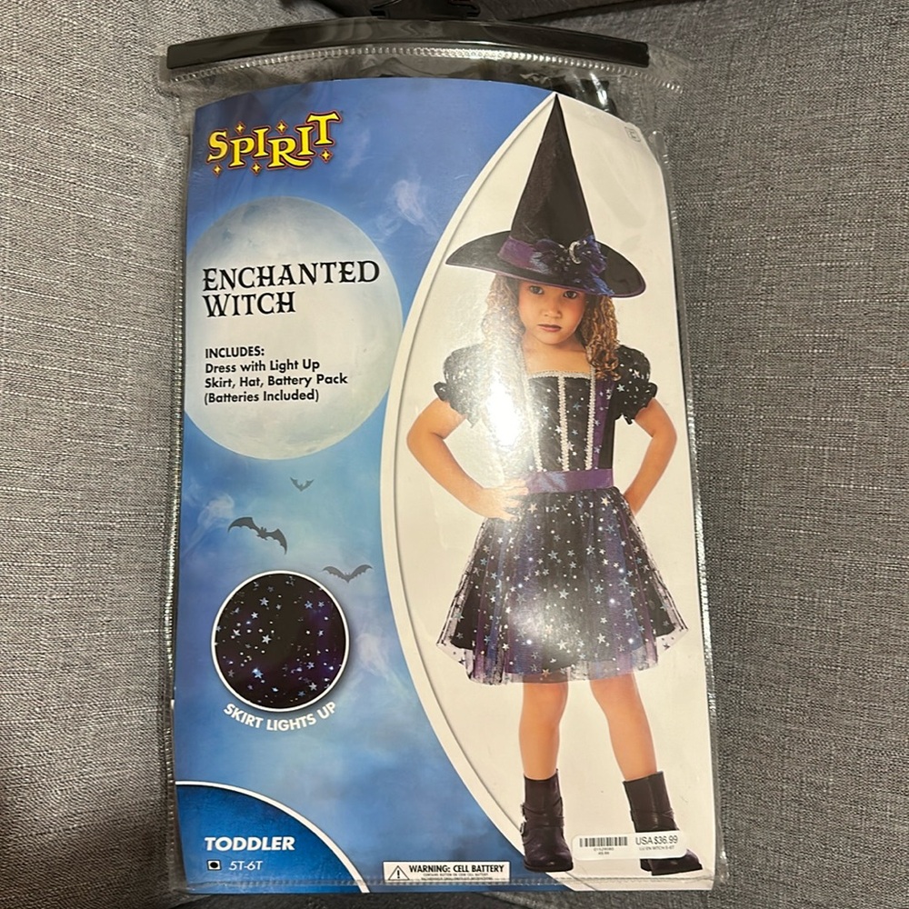 Enchanted witch girls costume